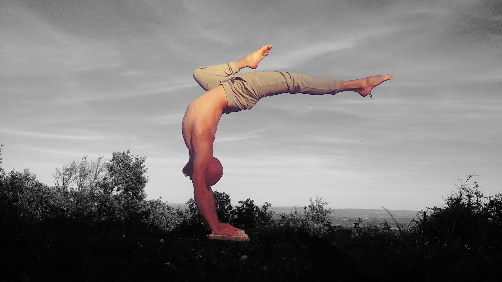 Handstand Theo PhiloSport